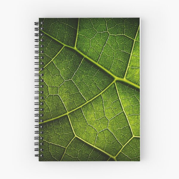 Item preview, Green Leaf Vein Macro Nature Texture Botanical Abstract Background designed and sold by Kaleidoscope Print.