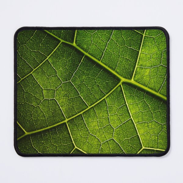 Item preview, Green Leaf Vein Macro Nature Texture Botanical Abstract Background designed and sold by Kaleidoscope Print.