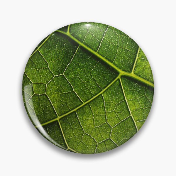 Item preview, Green Leaf Vein Macro Nature Texture Botanical Abstract Background designed and sold by Kaleidoscope Print.