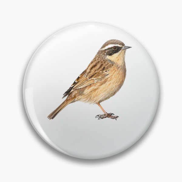 Item preview, Brown Accentor designed and sold by HOMETOWN86.