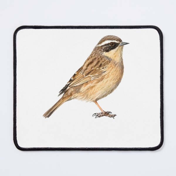 Item preview, Brown Accentor designed and sold by HOMETOWN86.