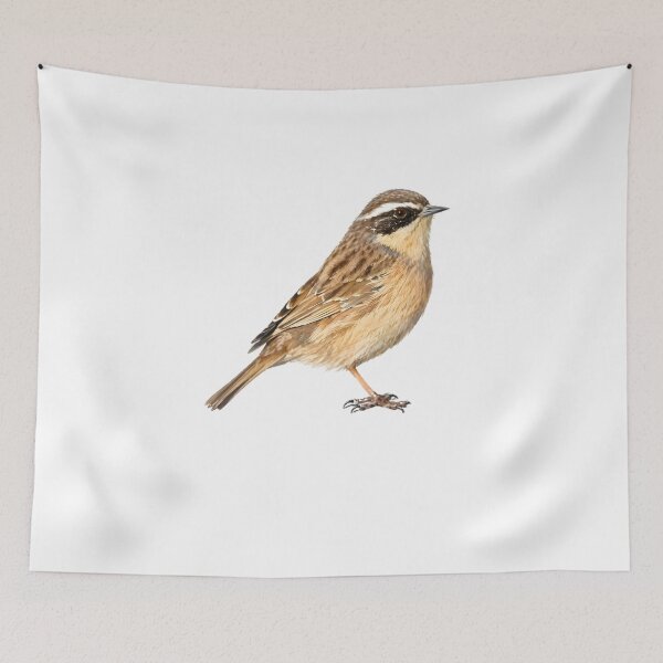 Item preview, Brown Accentor designed and sold by HOMETOWN86.