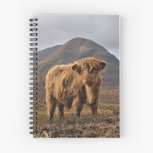 Item preview, Little Highlander | Scottish Highland Cow Calf in Autumn designed and sold by Cissa King Photography.