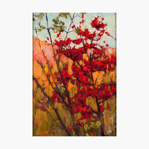 Item preview, New Upload 47 - tom thomson - Best artist - Tom Thomson – Spirit of the Canadian Wilderness – Framed Print designed and sold by KirstenShShop.