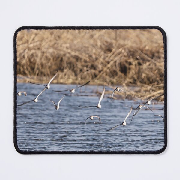 Item preview, A flock of birds in flight over the floodplain. designed and sold by NaturePhotography.