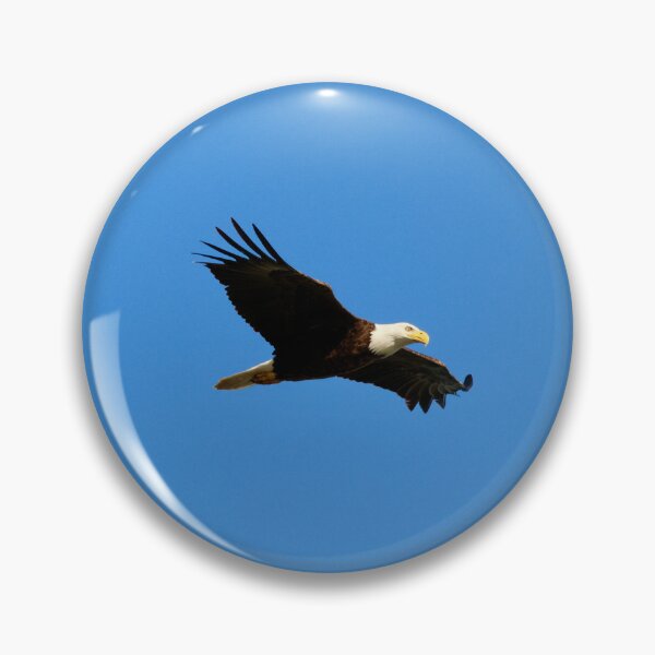 Item preview, Soar-Bald Eagle  designed and sold by Naturally Still Photography.