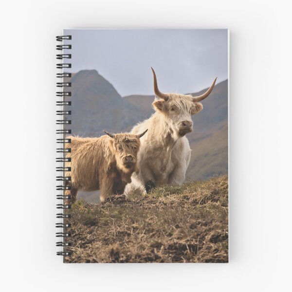 Item preview, Side by Side; Highland Cows in Autumnal Scottish Highlands Setting designed and sold by Cissa King Photography.