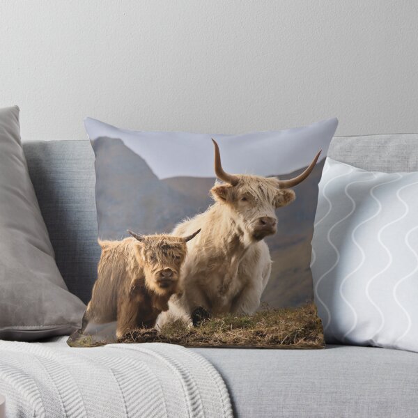 Item preview, Side by Side; Highland Cows in Autumnal Scottish Highlands Setting designed and sold by Cissa King Photography.
