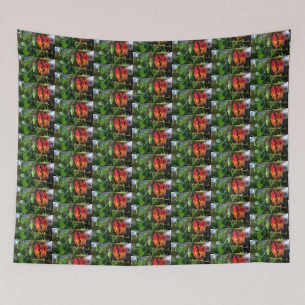 Item preview, Fire-Flame Lily Kissed with Raindrops designed and sold by Kerryn Madsen-Pietsch.
