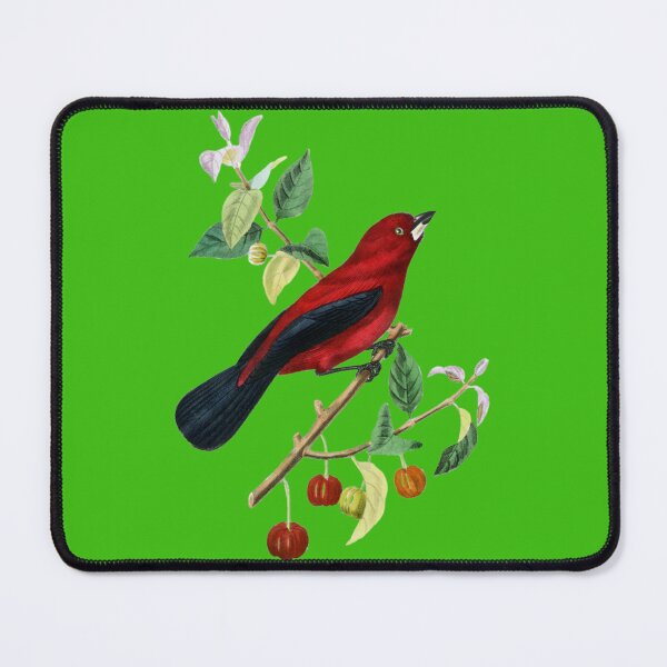 Item preview, Ramphocelus Bird Illustration by Paul Gervais | Vintage Nature Art Print designed and sold by Analog Aura .