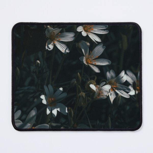 Item preview, Illuminating the Woodland designed and sold by RichardSayer.