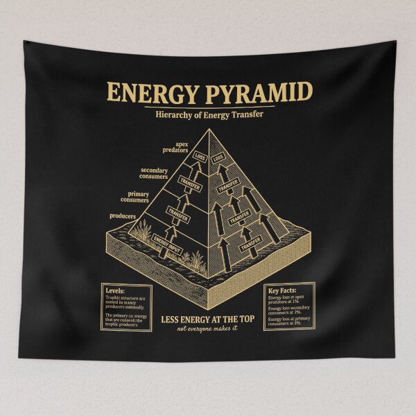 Item preview, Energy Pyramid Diagram Trophic Levels Chart designed and sold by FreshVibe Prints.