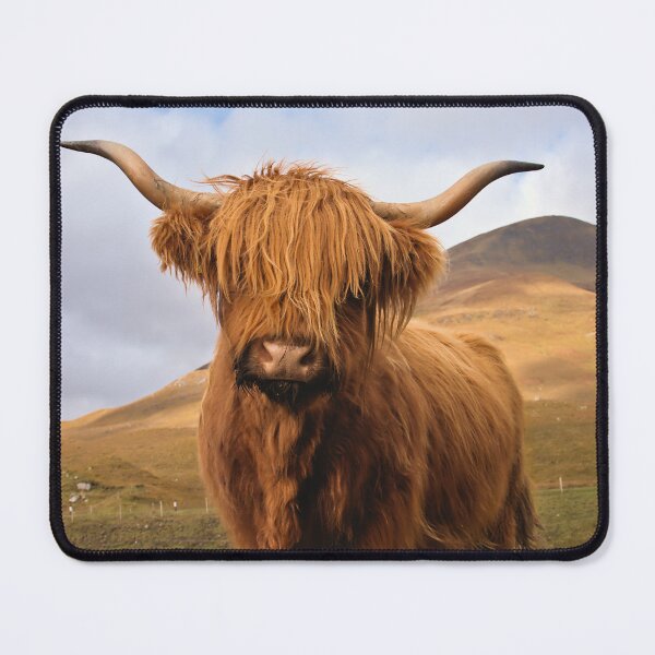 Item preview, Highland Greeting; Scottish Highland Cow in Autumn Mountains designed and sold by Cissa King Photography.