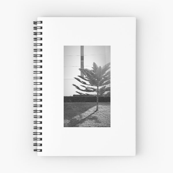 Aperçu de l'œuvre Palmier noir et blanc créée et vendue par Jayne  Sims.