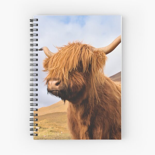 Item preview, Soul of the Highlands; Highland Cow in Scottish Highlands in Autumn designed and sold by Cissa King Photography.