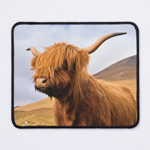Item preview, Soul of the Highlands; Highland Cow in Scottish Highlands in Autumn designed and sold by Cissa King Photography.