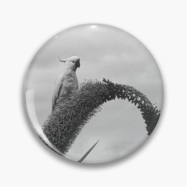 Item preview, Cockatoo Perched designed and sold by Jayne  Sims.
