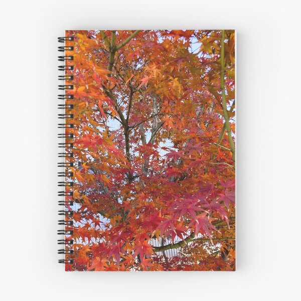 Item preview, Japanese Autumn Maple Leaves Momiji designed and sold by SakuraArtJP.