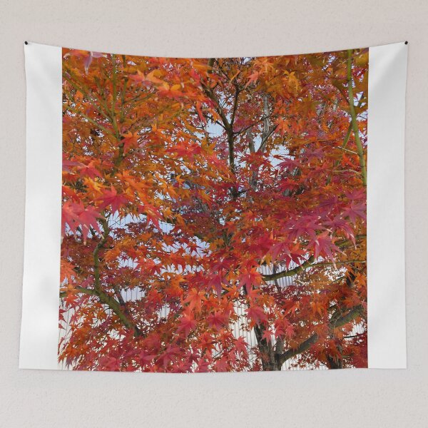 Item preview, Japanese Autumn Maple Leaves Momiji designed and sold by SakuraArtJP.
