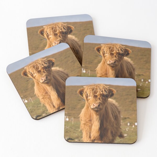 Item preview, Baby Highland Cow, Close-Up designed and sold by Cissa King Photography.