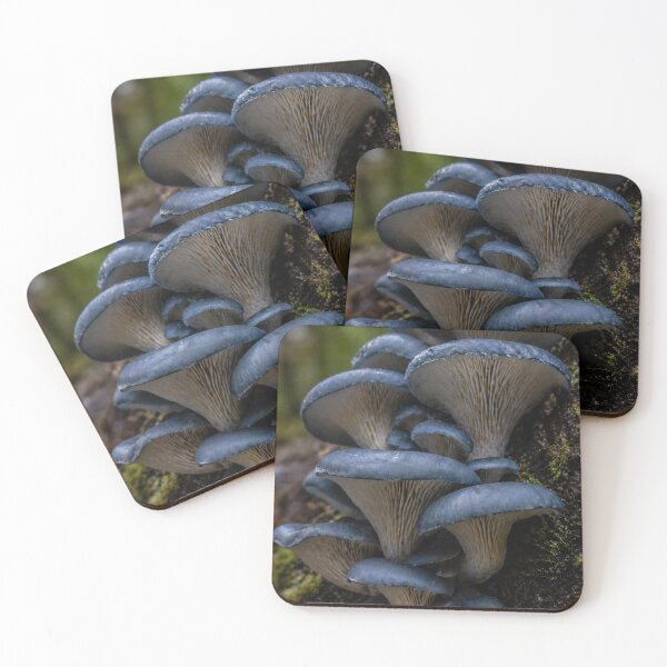 Item preview, Blue-Oyster Mushrooms on Mossy Branch - Macro Nature Photography designed and sold by ChiefMomCo.