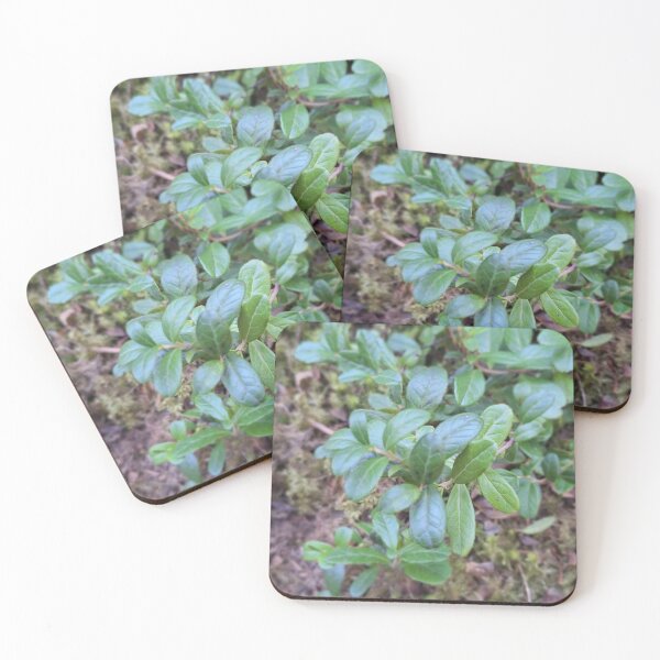 Item preview, Green Forest  designed and sold by Vicky45765.