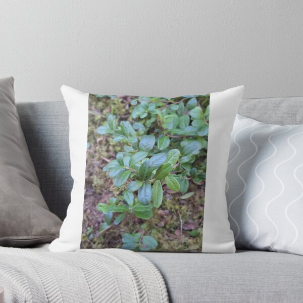 Item preview, Green Forest  designed and sold by Vicky45765.
