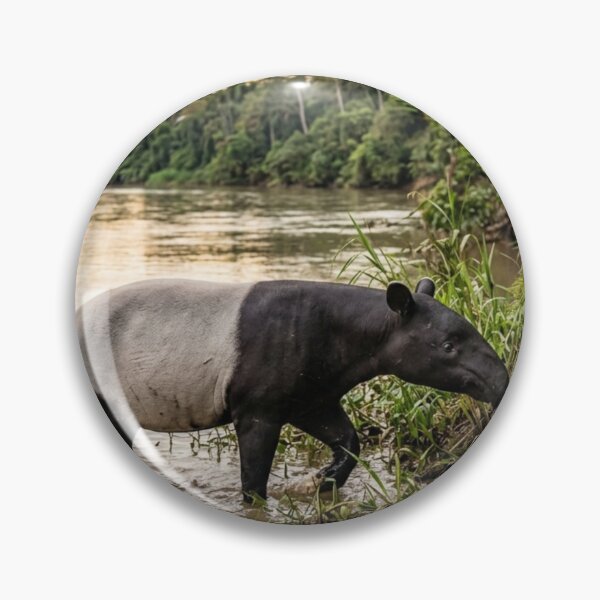 Item preview, Tapir by a river designed and sold by Malisa345.