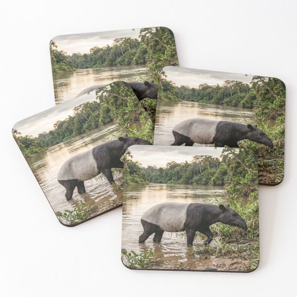 Item preview, Tapir by a river designed and sold by Malisa345.