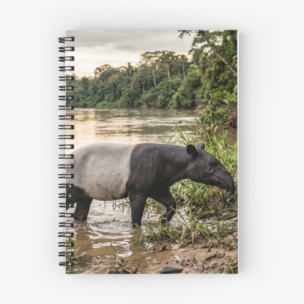 Item preview, Tapir by a river designed and sold by Malisa345.