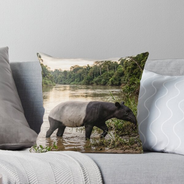 Item preview, Tapir by a river designed and sold by Malisa345.