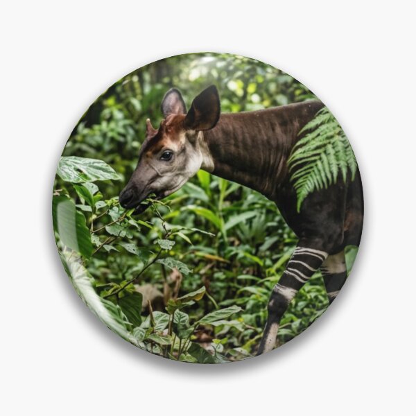 Item preview, Okapi hidden among the foliage designed and sold by Malisa345.