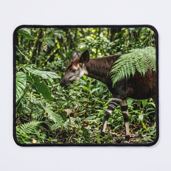 Item preview, Okapi hidden among the foliage designed and sold by Malisa345.