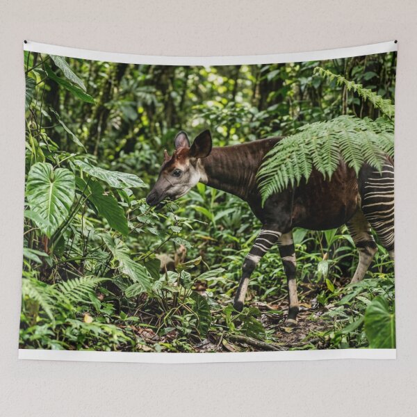 Aperçu de l'œuvre Okapi dissimulé entre les feuillages créée et vendue par Malisa345.