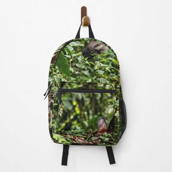 Item preview, Okapi hidden among the foliage designed and sold by Malisa345.