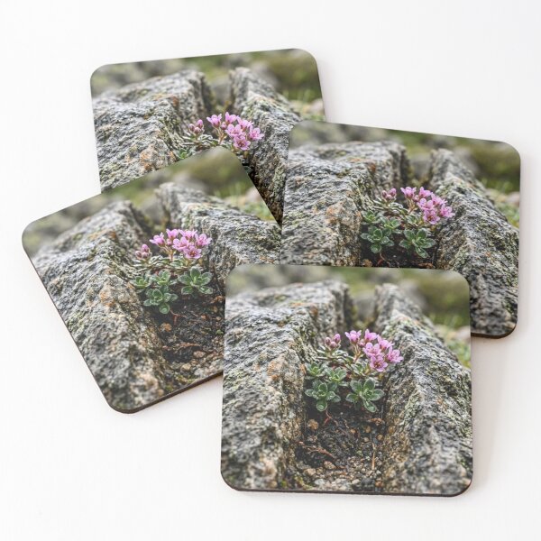 Item preview, Split stone with a small plant designed and sold by Malisa345.