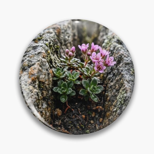 Item preview, Split stone with a small plant designed and sold by Malisa345.