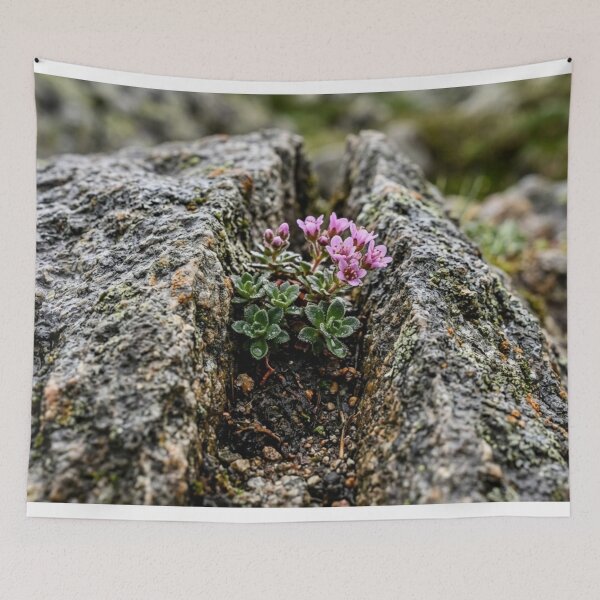Item preview, Split stone with a small plant designed and sold by Malisa345.