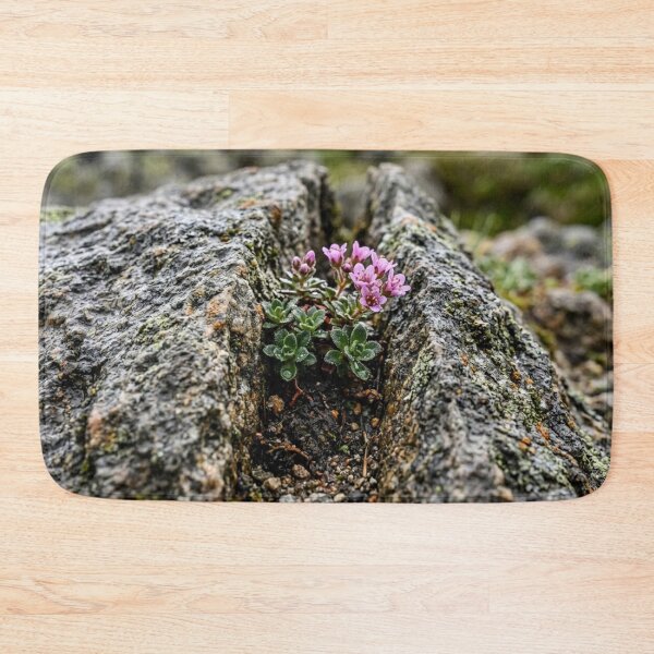 Item preview, Split stone with a small plant designed and sold by Malisa345.