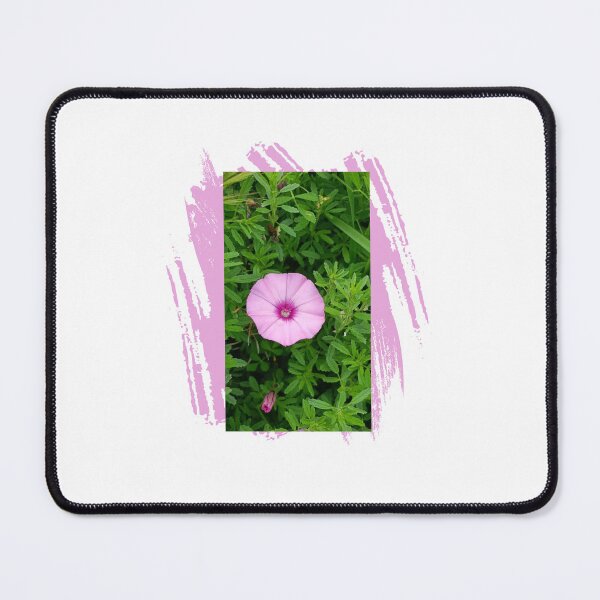 Item preview, Pink Morning Glory designed and sold by jabarArt.