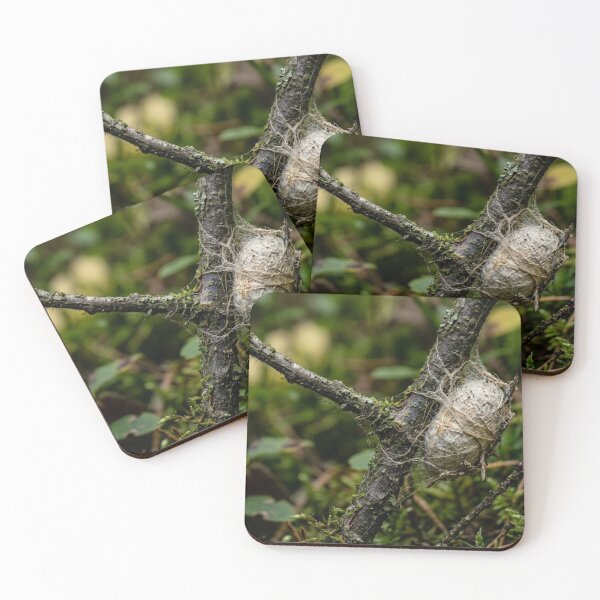 Item preview, Cocoon hanging from a branch designed and sold by Malisa345.