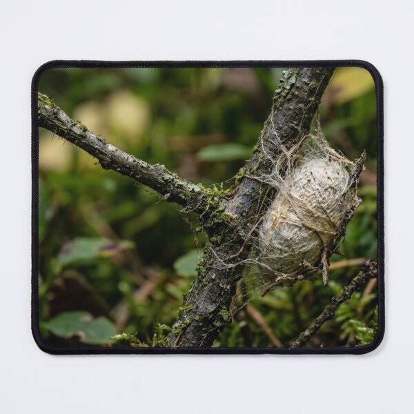Item preview, Cocoon hanging from a branch designed and sold by Malisa345.
