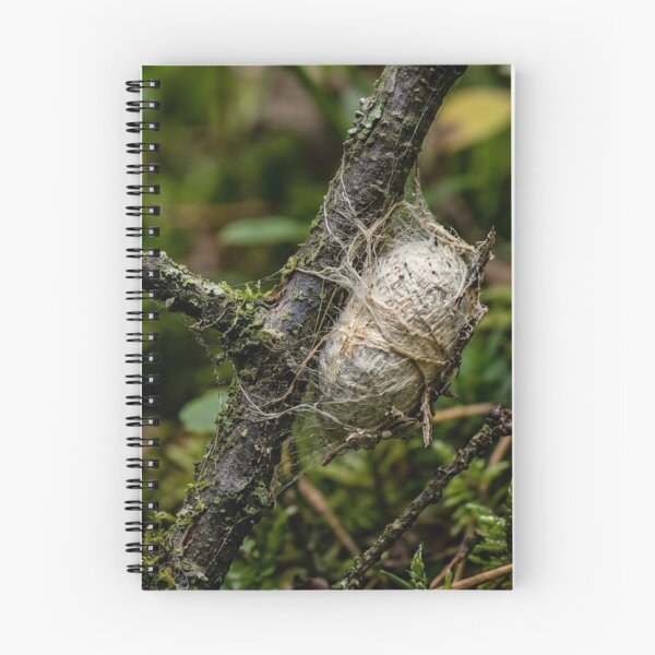 Item preview, Cocoon hanging from a branch designed and sold by Malisa345.