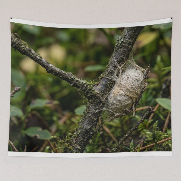 Item preview, Cocoon hanging from a branch designed and sold by Malisa345.