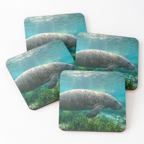 Item preview, Manatee underwater, side view designed and sold by Malisa345.