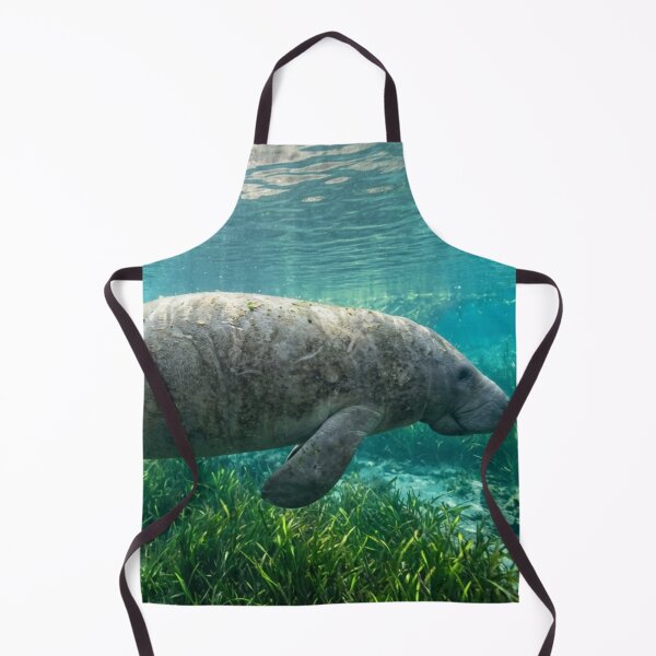 Item preview, Manatee underwater, side view designed and sold by Malisa345.
