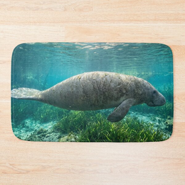 Item preview, Manatee underwater, side view designed and sold by Malisa345.