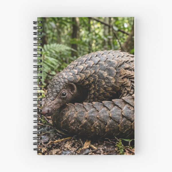 Item preview, Pangolin partially coiled designed and sold by Malisa345.