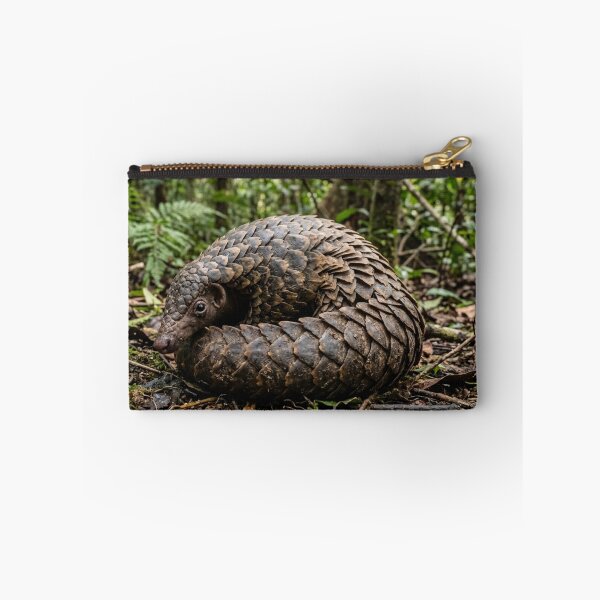 Item preview, Pangolin partially coiled designed and sold by Malisa345.