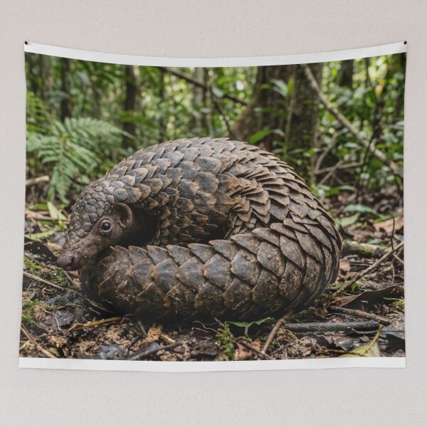 Item preview, Pangolin partially coiled designed and sold by Malisa345.